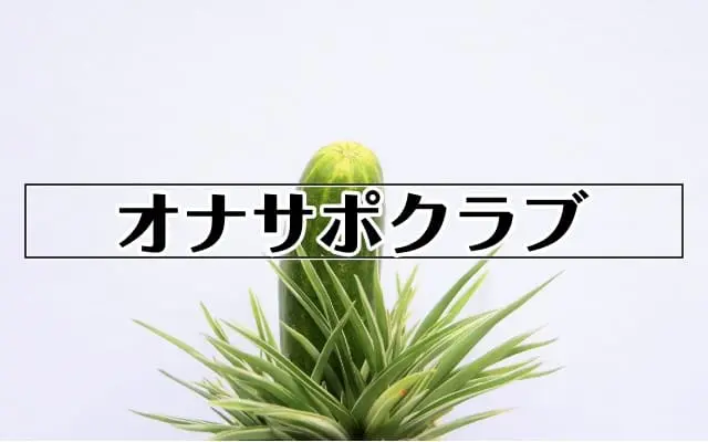 元気なサボテン